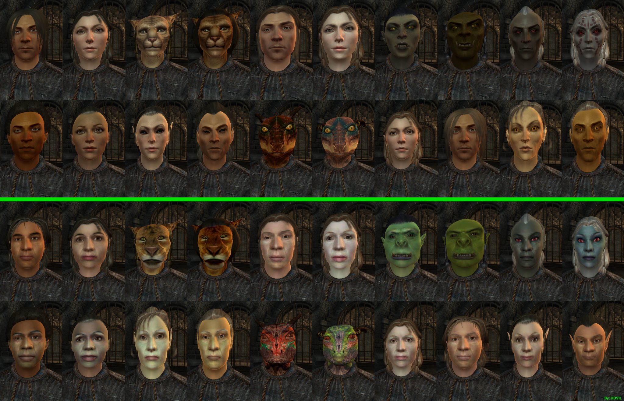 oblivion character overhaul mod writing on faces